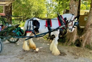 Killarney National Park Tour