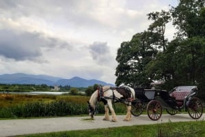 Killarney National Park Tour