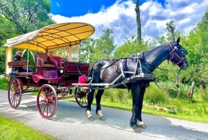 Killarney National Park Tour