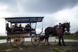 Killarney mit der Pferdekutsche: Irisches Jaunting Car