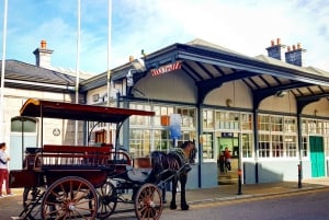 Killarney a caballo y en carruaje: Recorrido en coche de una hora