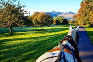 Killarney mit der Pferdekutsche: Irisches Jaunting Car