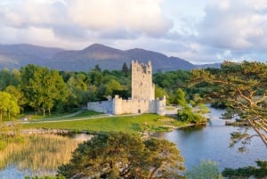 Killarney on Horse & Carriage: 1-Hour Jaunting Car Tour