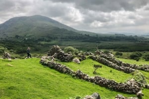 Killarney: The Ring of the Reeks - Backroads tur på landet