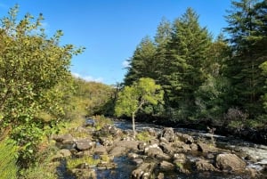 Killarney: The Ring of the Reeks - wiejska wycieczka Backroads