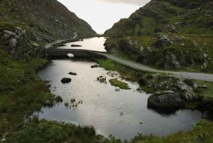 Killarney: The Ring of the Reeks - Backroads tur på landet