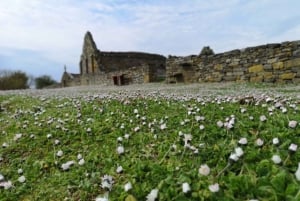 Килруш: Пешеходная экскурсия с гидом по острову Скаттери