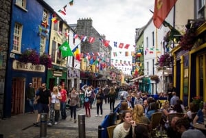 Private Tour: Cliffs of Moher, Galway City & More