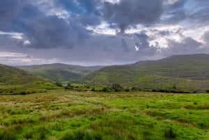 Private Discover Ring of Beara Tour from Killarney