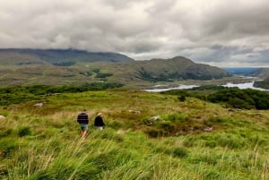 Tour Privado Descubre el Anillo de Beara desde Killarney