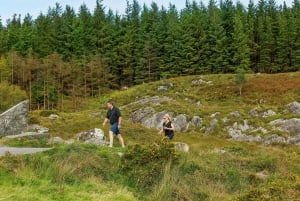 Privat lyxig dagstur till Killarney och nationalparken