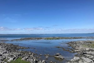 Togtur fra Dublin: 2-dages udforskning af vestkysten
