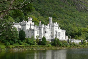 Rail Tour from Dublin: 6 Days All of Ireland
