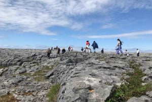 Togtur: Moher-klipperne og Bunratty Castle Tour