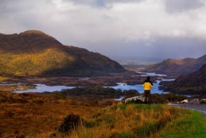 Ring of Kerry: całodniowa wycieczka z Killarney