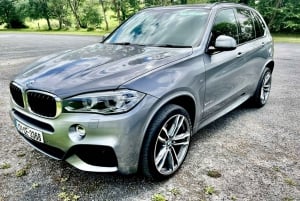 Shannon: Private Airport Arrival Transfer to Dublin
