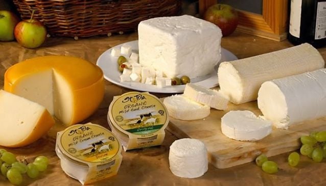 St Tola Irish Organic Goats Cheese