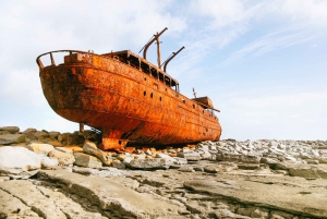 From Galway: Aran Islands Day Trip & Cliffs of Moher Cruise