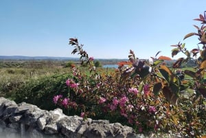 The Burren: Sketch and painting class, make a unique artwork