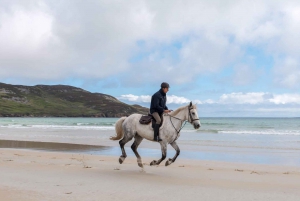 Westport: Passeio a cavalo guiado pela praia e pelo campo