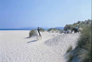 Westport: Passeio a cavalo guiado pela praia e pelo campo