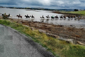 Westport: Passeio a cavalo guiado pela praia e pelo campo