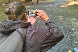Дикий Атлантический Путь: Фототур с полным гидом