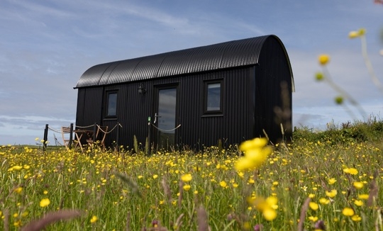 Wild Meadow Huts