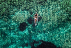 1.5-hour Clear Kayak Rentals: Explore the Underwater World