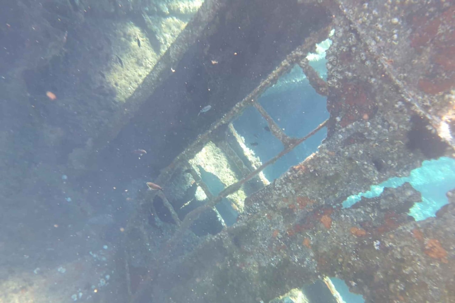 4 Joias de Zadar, Dugi otok, navio naufragado, túnel - Meio dia