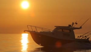 Abyss Fishing Charter