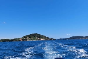 ザダル：ドリンクとスノーケリング付き半日クルーズ