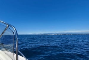 ザダル：ドリンクとスノーケリング付き半日クルーズ