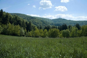 Beyond Zagreb