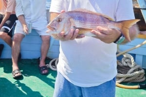 Biograd: ¡una auténtica experiencia de pesca otoñal para todas las edades!