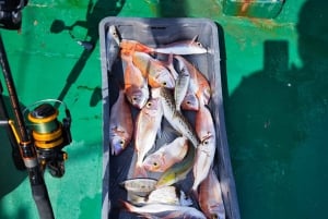 Biograd: ¡una auténtica experiencia de pesca otoñal para todas las edades!