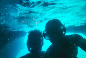 ブルーケーブ・グリーンケーブ・ロプード砂浜 - ドリンク付きツアー