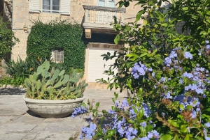 Mer bleue et montagnes noires - Monténégro