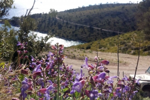 Brač: Island Exploration Tour by Four-Wheel Drive Jeep