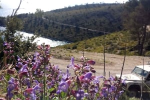 Brač: Excursión por la isla en jeep todoterreno