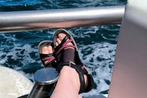 Pula : tour en bateau tout compris à Brijuni avec déjeuner, boissons et baignade