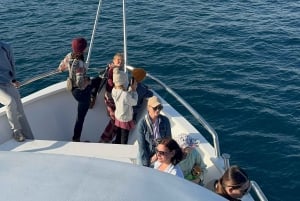 Pula : tour en bateau tout compris à Brijuni avec déjeuner, boissons et baignade