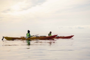Budva: Winterliche Kajaktour zu Höhlen & St. Nikolaus-Insel