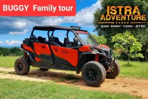 BUGGY FAMILY SAFARI 2 & 4 H