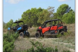 BUGGY FAMILY SAFARI 2 & 4 H