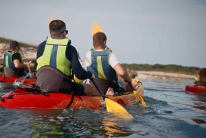 Kaap Kamenjak: grot- en safari-ervaring per kajak