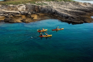 Cape Kamenjak: Kayak Tour with Cave Experience