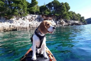 Цавтат: Экскурсия на морском каяке с гидом