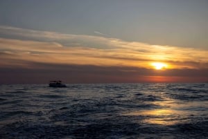 Cavtat/Mlini: Luxury Sunset Cruise w/ Cold Platter & Wine