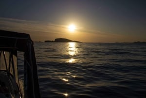 Cavtat/Mlini: Luxury Sunset Cruise w/ Cold Platter & Wine